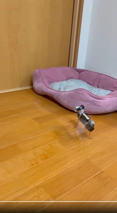 しずくちゃんが離れてポツン…▶仲良しの2匹の反応は（⇒次へ）