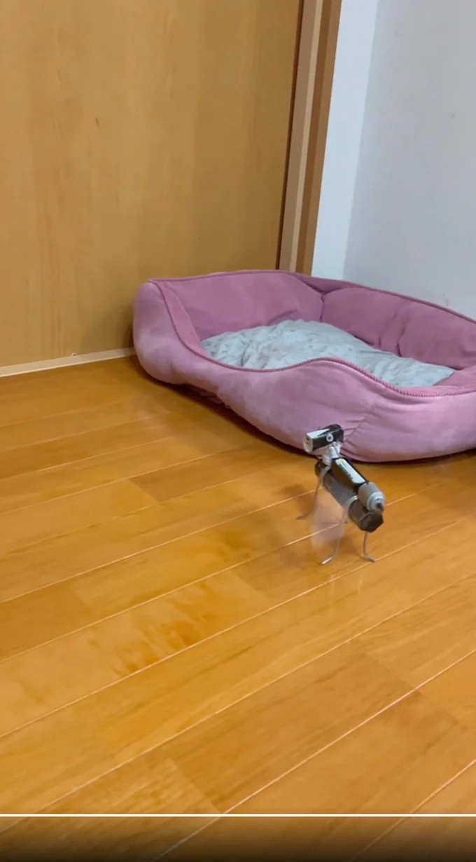 しずくちゃんが離れてポツン…▶仲良しの2匹の反応は（⇒次へ）