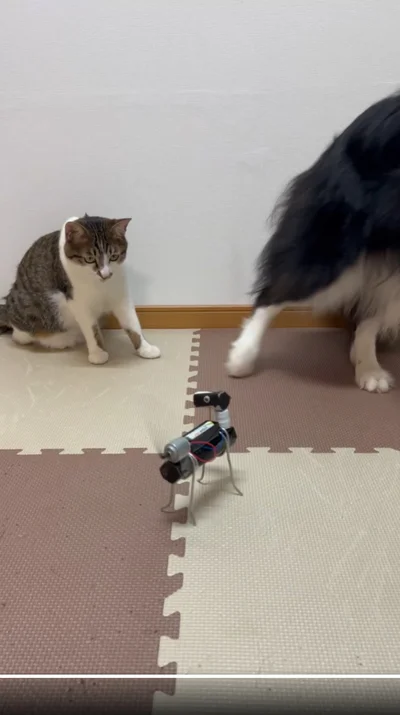 やっぱり離れるしずくちゃん▶しずくちゃん待って！！（⇒次へ）