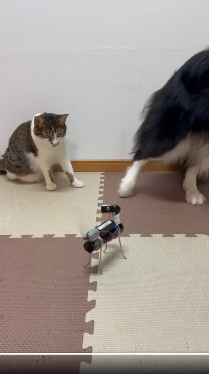 やっぱり離れるしずくちゃん▶しずくちゃん待って!!(⇒次へ)