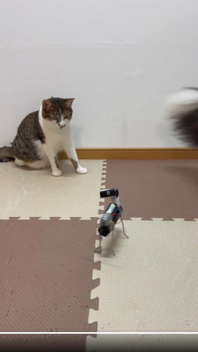 先にその場を離れるしずくちゃん▶バロンちゃんの反応にも注目！（⇒次へ）