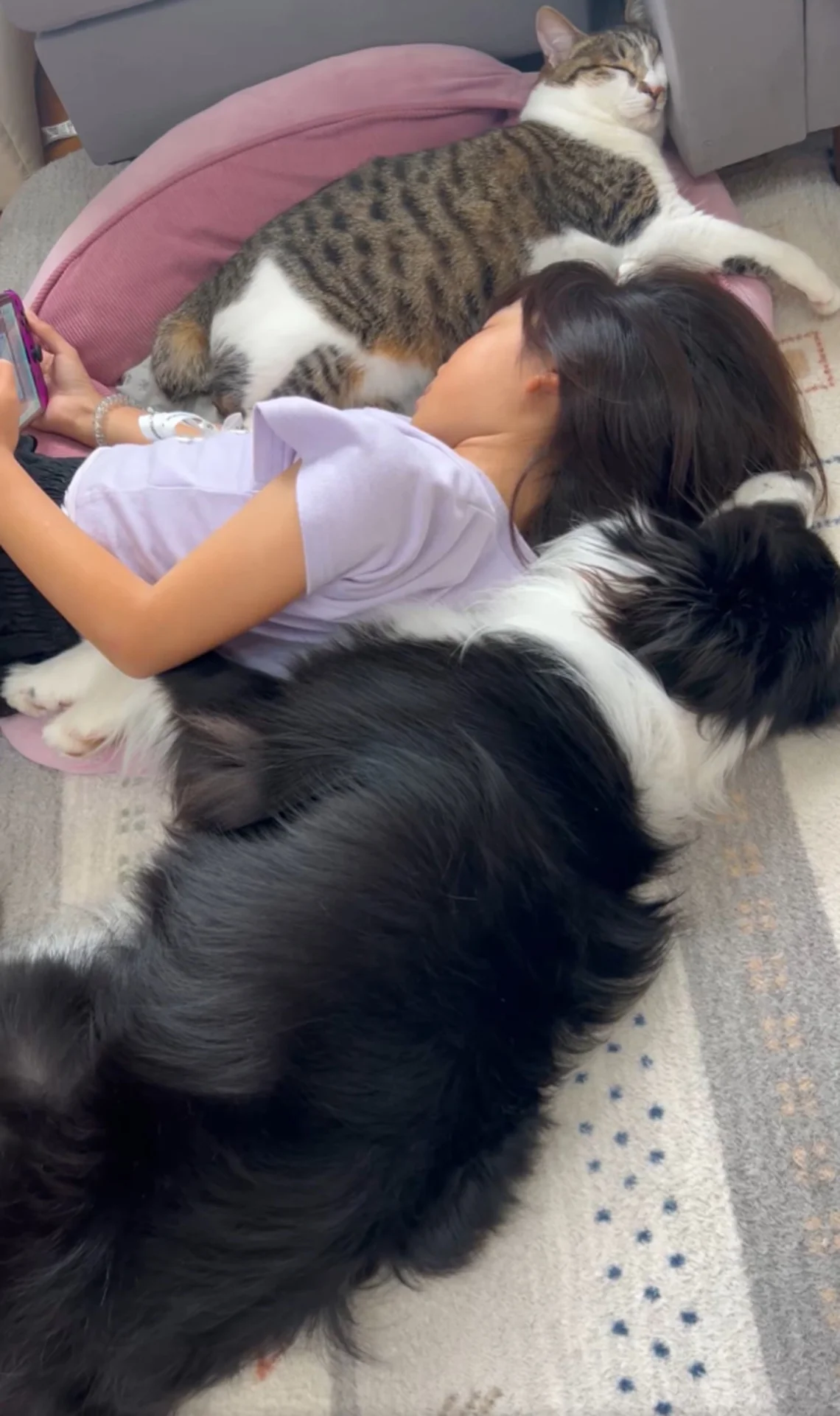 愛犬そっくり
