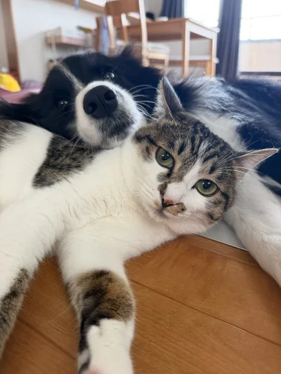 仲良しでかわいいふたり▶家族仲良く一緒！（⇒次へ）