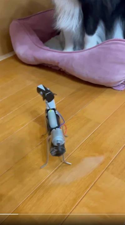 おもちゃはと床の上を少しずつ進んでいきます▶どんどんワンコに近付いていき…（⇒次へ）