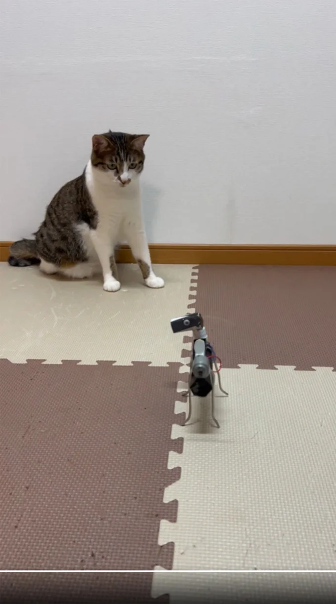 固まったままのバロンちゃん▶2匹はとっても仲良し!(⇒次へ)