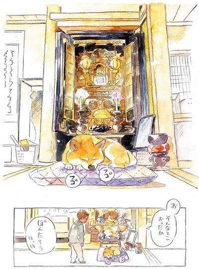 『柴犬ぽんちゃん、今日もわが道を行く』より