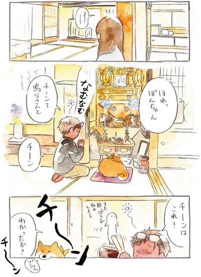 『柴犬ぽんちゃん、今日もわが道を行く』より