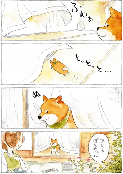 『柴犬ぽんちゃん、今日もわが道を行く』より