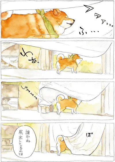 『柴犬ぽんちゃん、今日もわが道を行く』より