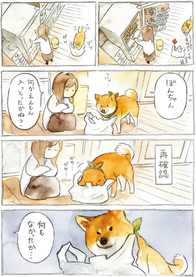 『柴犬ぽんちゃん、今日もわが道を行く』より