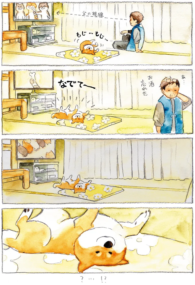 『柴犬ぽんちゃん、今日もわが道を行く』より