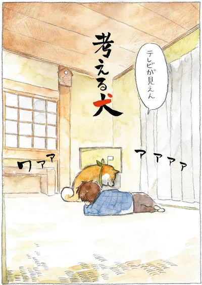 『柴犬ぽんちゃん、今日もわが道を行く』より
