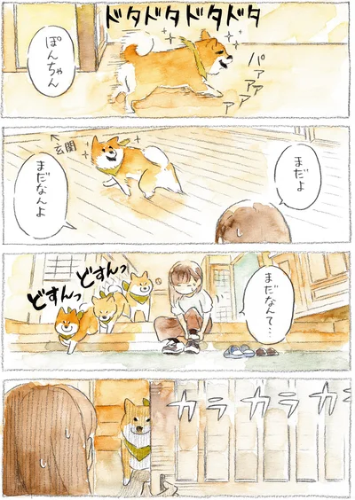 『柴犬ぽんちゃん、今日もわが道を行く』より
