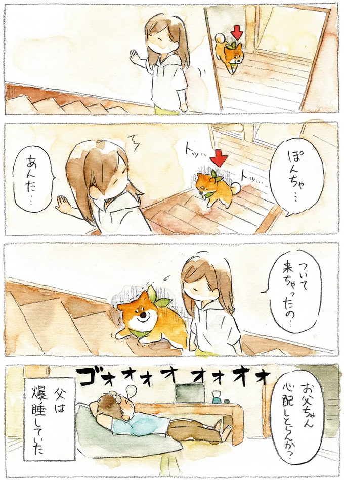 『柴犬ぽんちゃん、今日もわが道を行く』より