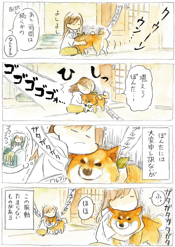 『柴犬ぽんちゃん、今日もわが道を行く』より