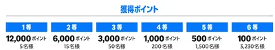 1等は12,000ポイント