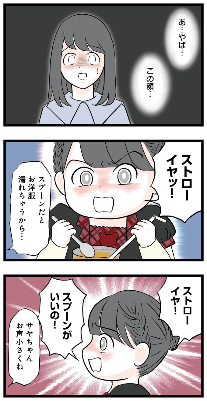 『親友は2人もいらないでしょ 双子コーデママの秘密』より