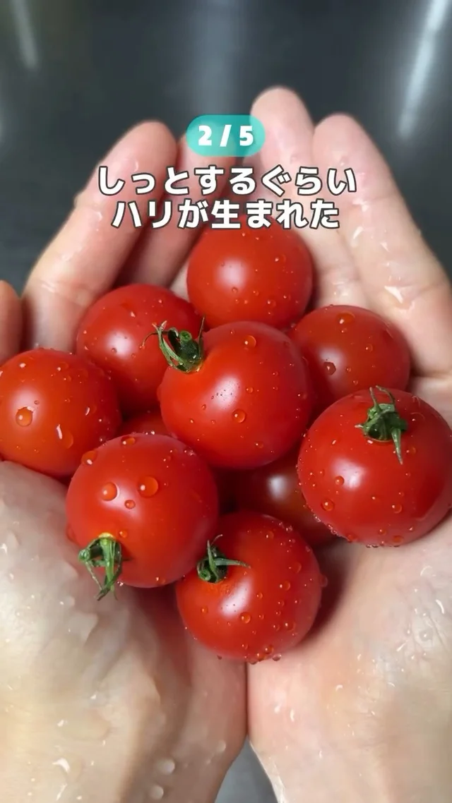 “しなしな”野菜が復活！古くなった野菜の救済方法や下処理方法など5つの裏ワザを大公開
