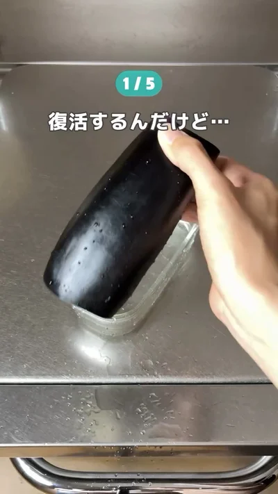 ハリとツヤが戻った▶しわしわミニトマトも…（⇒次へ）