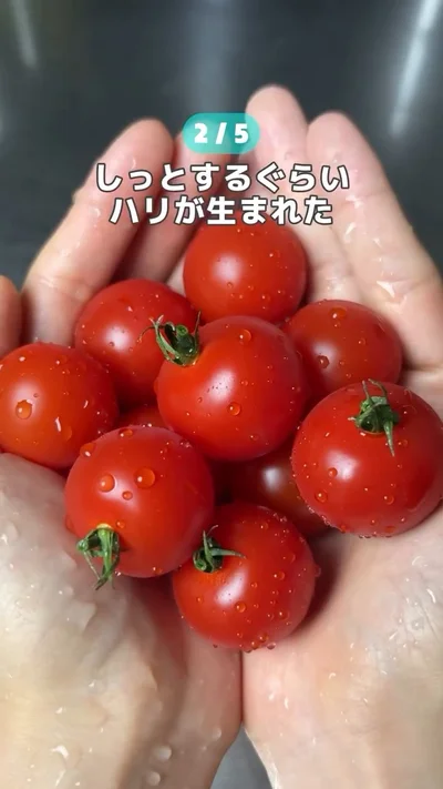 “ぷっくり”を取り戻した▶とうもろこしの皮をきれいにむく（⇒次へ）