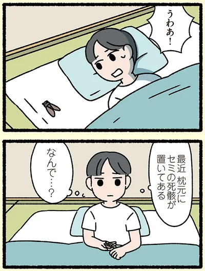 いつもセミをくれたのは…