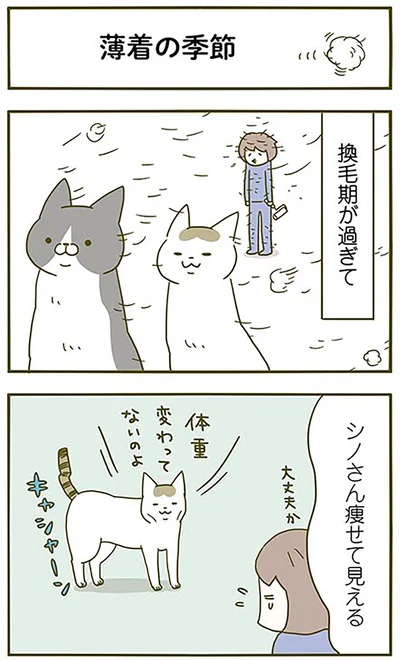 『うちの猫がまた変なことしてる。2』より