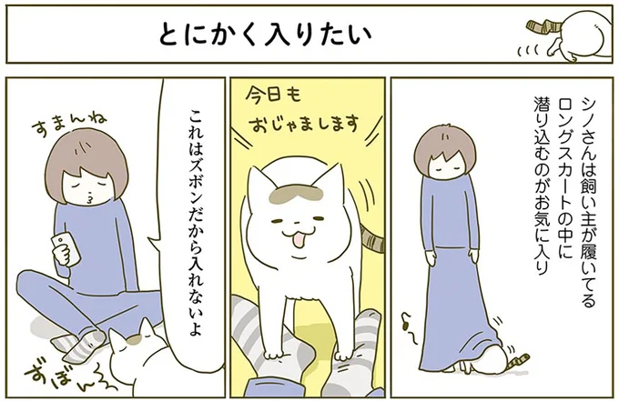 『うちの猫がまた変なことしてる。2』より