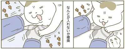 『うちの猫がまた変なことしてる。2』より