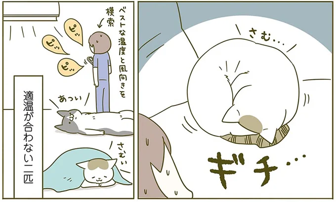 『うちの猫がまた変なことしてる。2』より