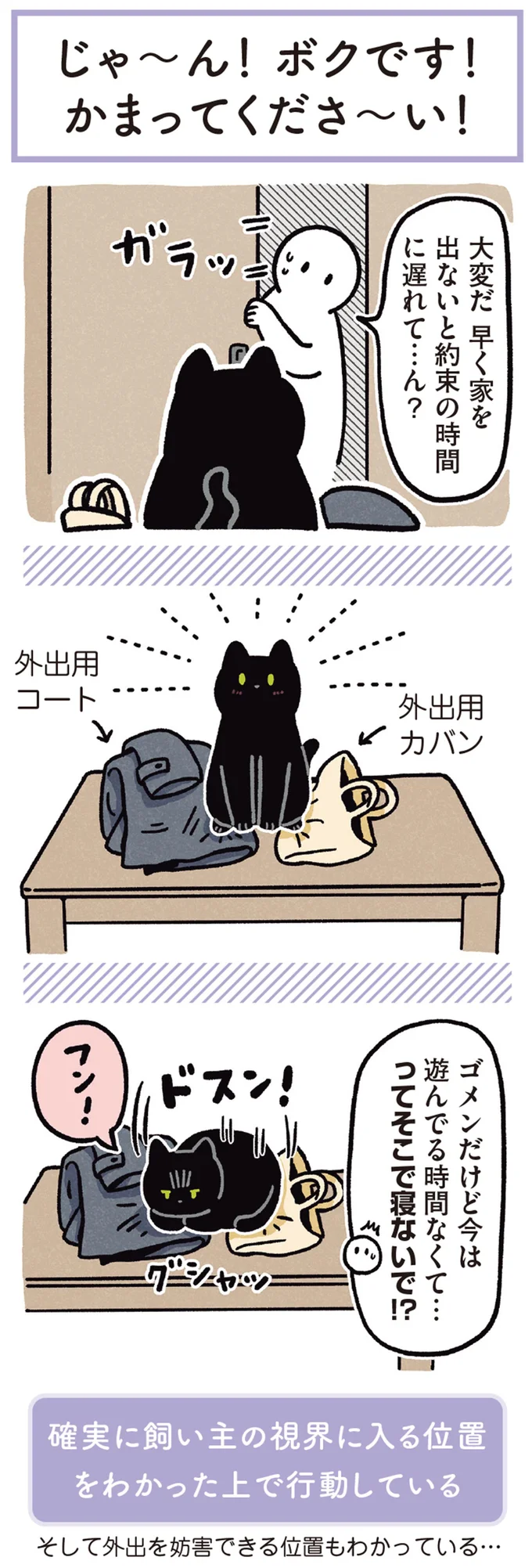 『黒猫ろんと暮らしたら3』より