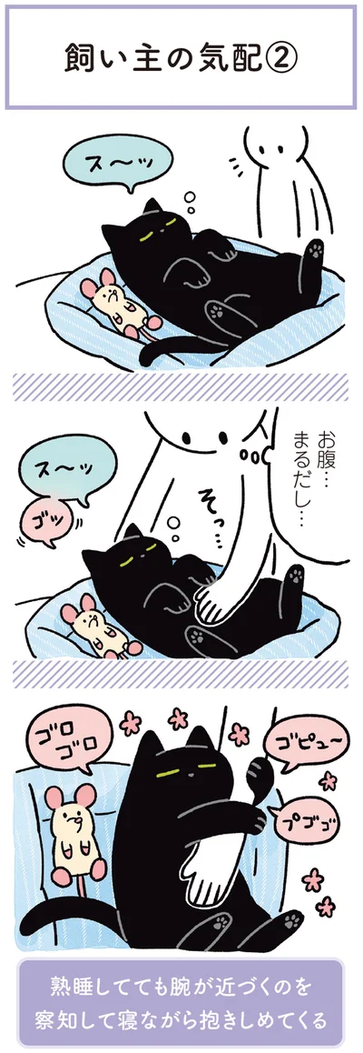 『黒猫ろんと暮らしたら3』より