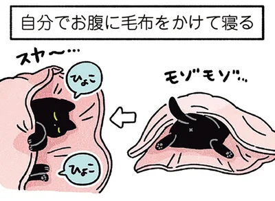自分でお腹に毛布をかけて寝る