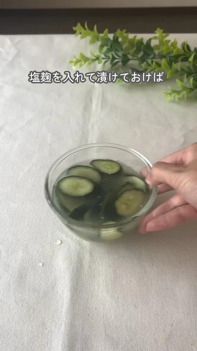 漬ける▶手軽に…(⇒次へ)