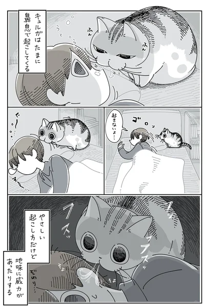 『夜は猫といっしょ5』より