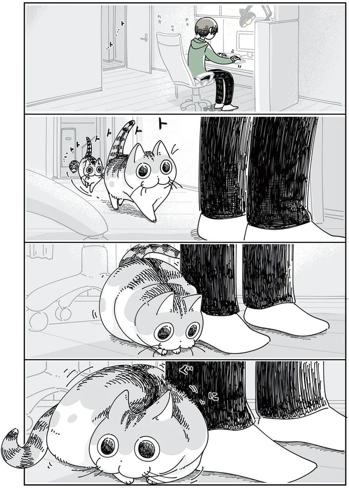 『夜は猫といっしょ5』より
