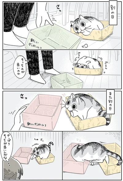 『夜は猫といっしょ5』より