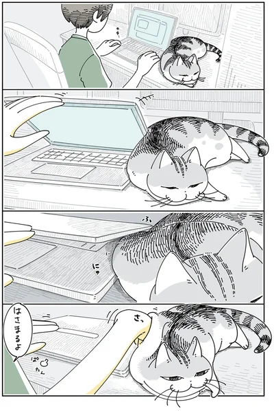 『夜は猫といっしょ5』より