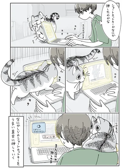『夜は猫といっしょ5』より