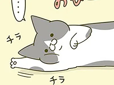 チラチラ…