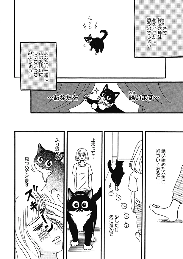 この子ここまで可愛かったっけ 私を誘ってくるとき 猫のきもちがわからない 5 連載 レタスクラブ この子ここまで可愛かったっけ 私を誘ってくるとき 猫のきもちがわからない 5 連載 レタスクラブ