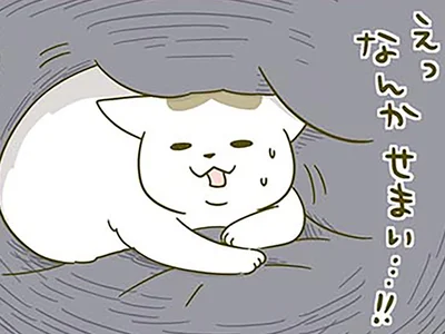 寝起きに戸惑う猫
