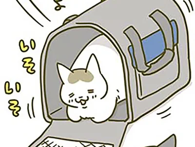 新しいキャリーを気に入った猫