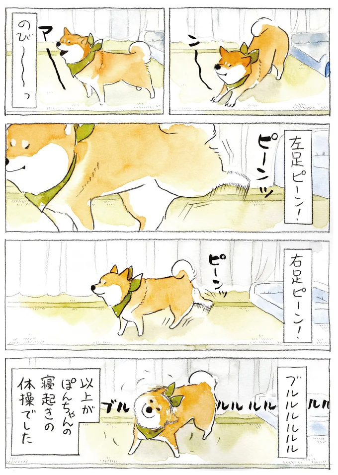 寝起きの体操