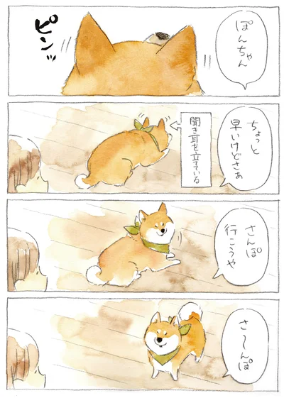 さんぽ行こうや