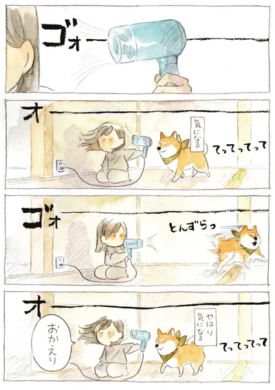 『柴犬ぽんちゃん、今日もわが道を行く3』より