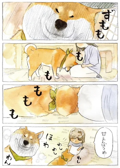 『柴犬ぽんちゃん、今日もわが道を行く3』より