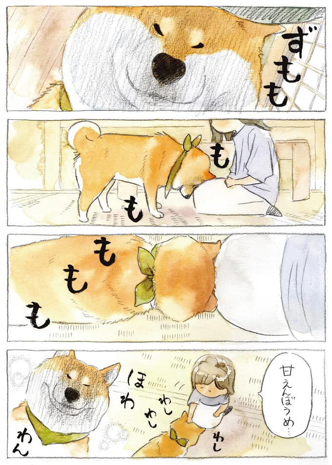 『柴犬ぽんちゃん、今日もわが道を行く3』より