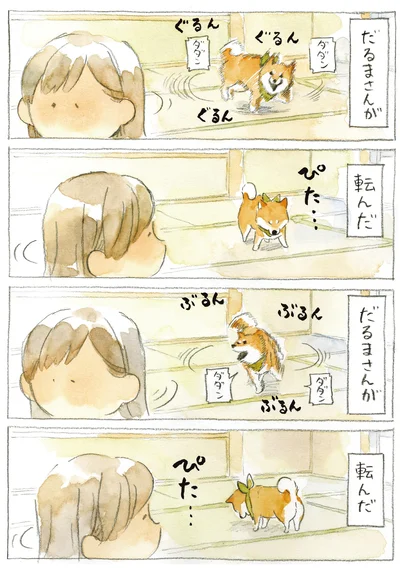 『柴犬ぽんちゃん、今日もわが道を行く3』より