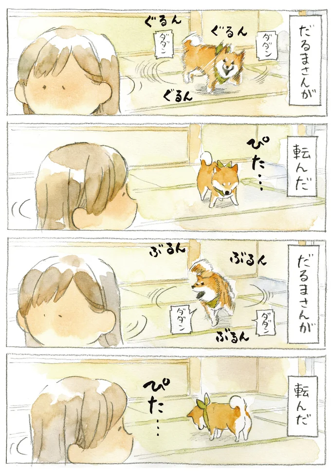 『柴犬ぽんちゃん、今日もわが道を行く3』より