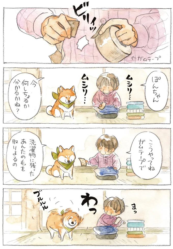 『柴犬ぽんちゃん、今日もわが道を行く3』より